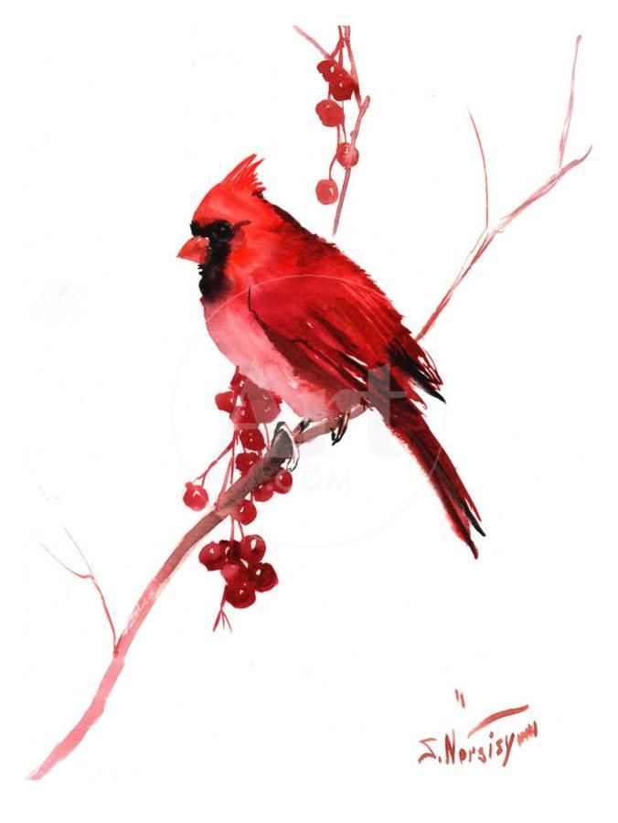 Cardinal Tattoo 59