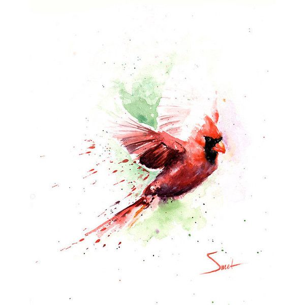 Cardinal Tattoo 60