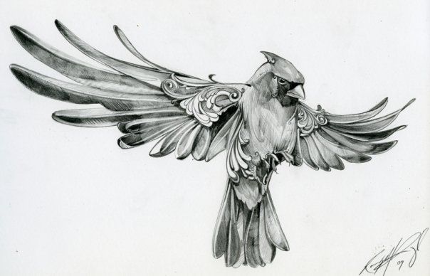 Cardinal Tattoo 62