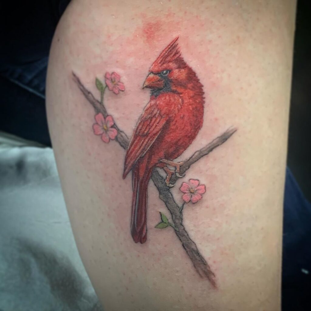 Cardinal Tattoo 65