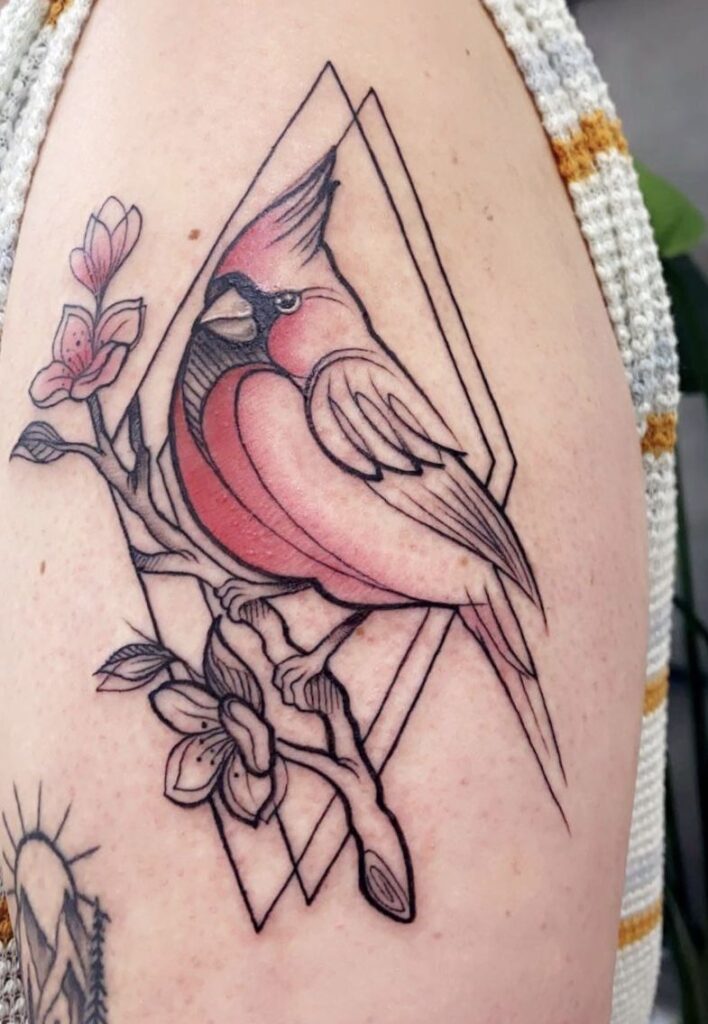 Cardinal Tattoo 66