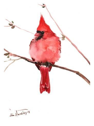 Cardinal Tattoo 68