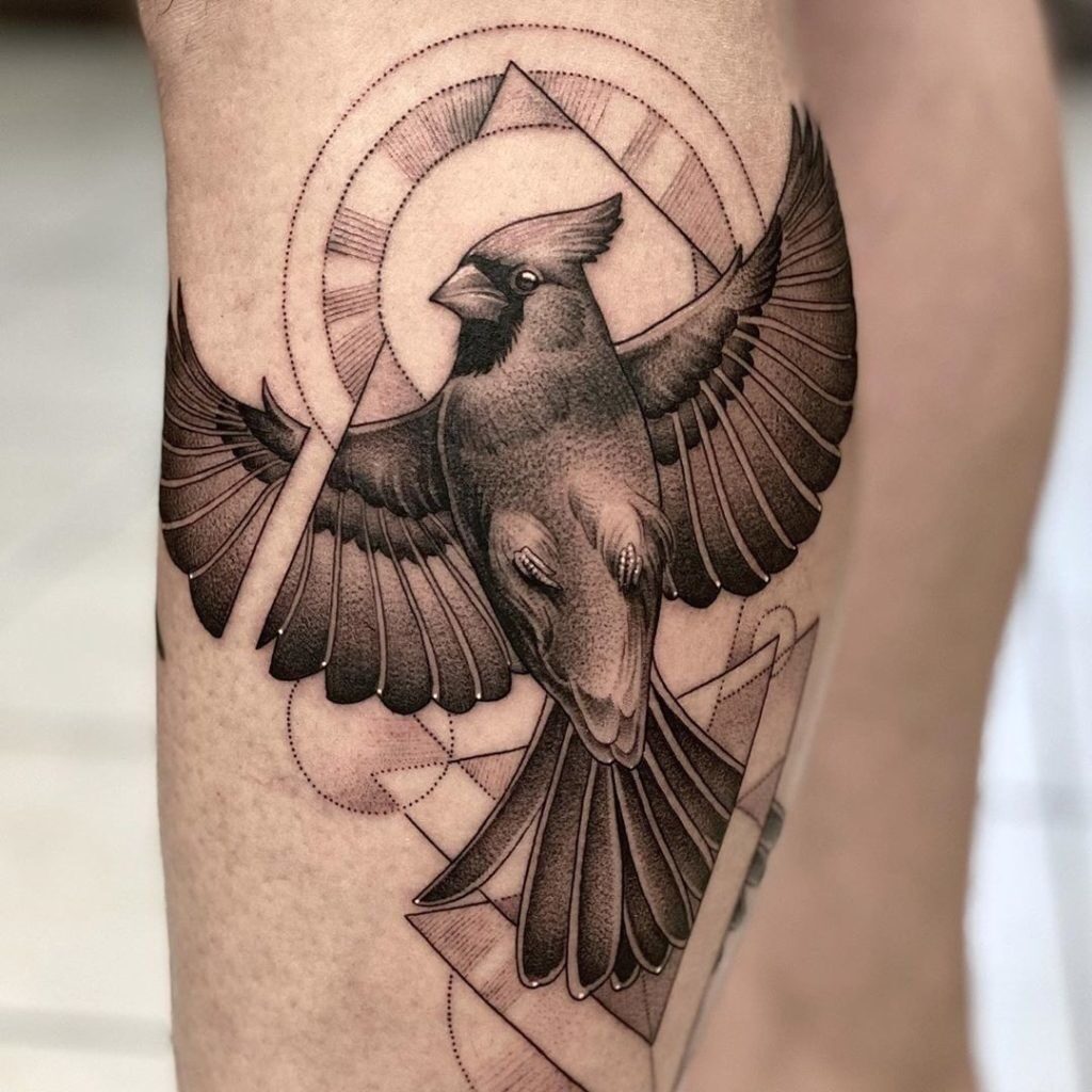 Cardinal Tattoo 71