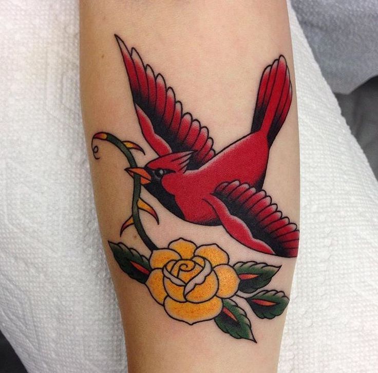 Cardinal Tattoo 78