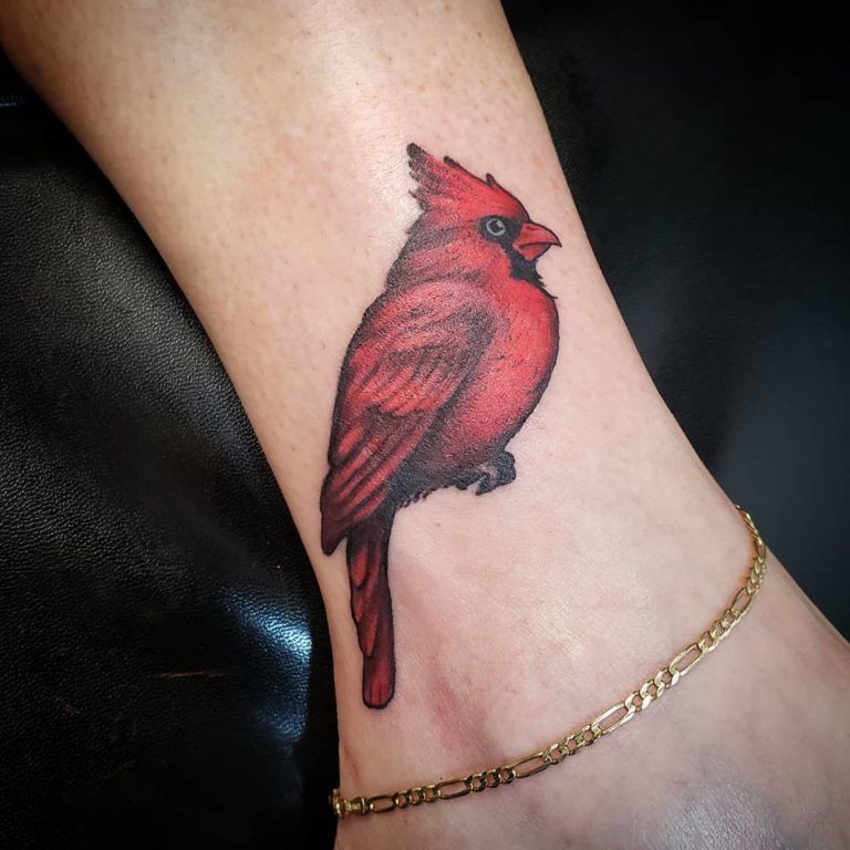 Cardinal Tattoo 82