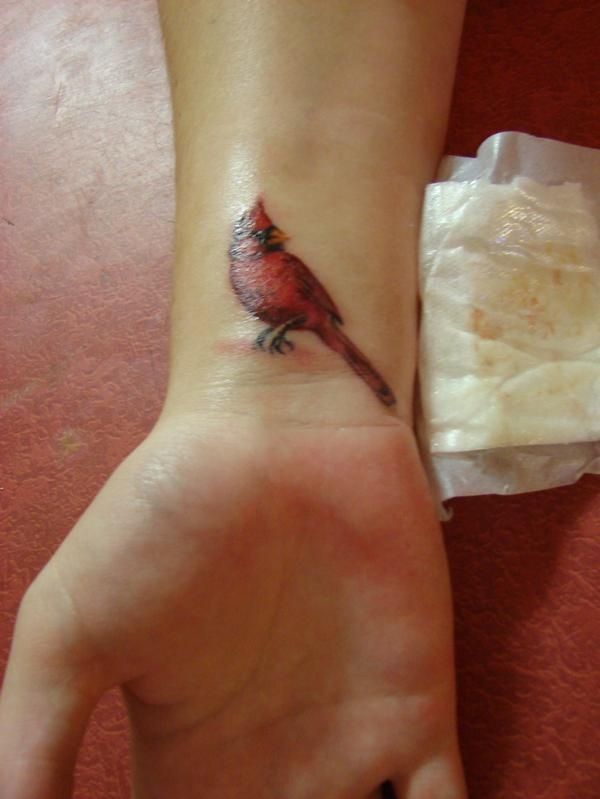 Cardinal Tattoo 94