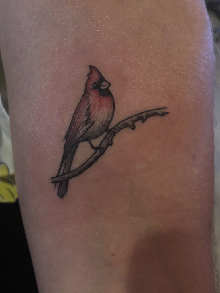 Cardinal Tattoo 98