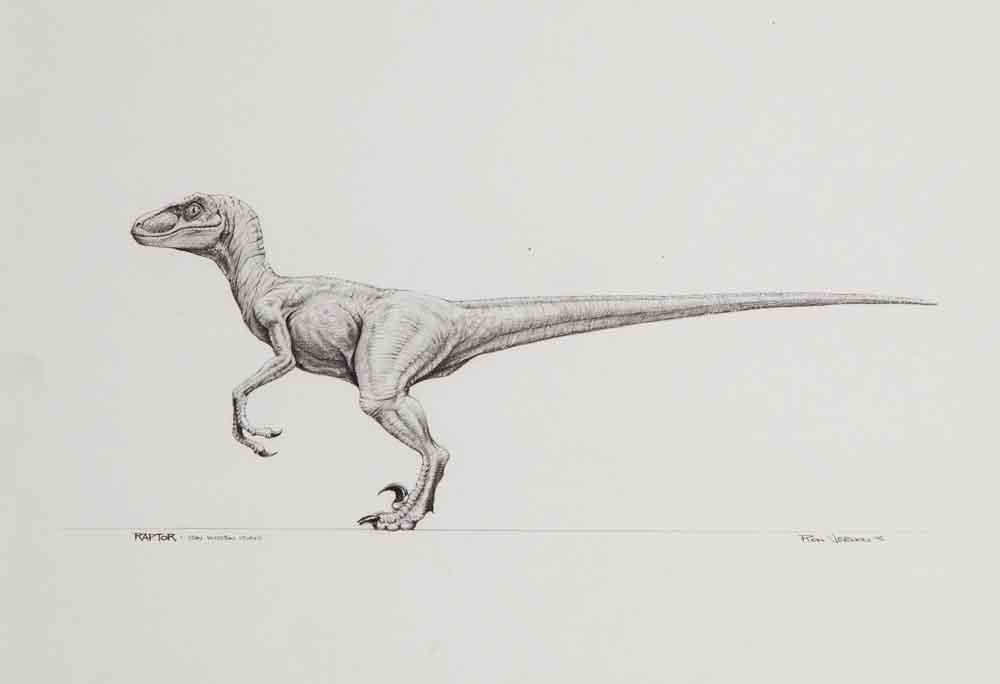 Dinosaur Tattoo 57