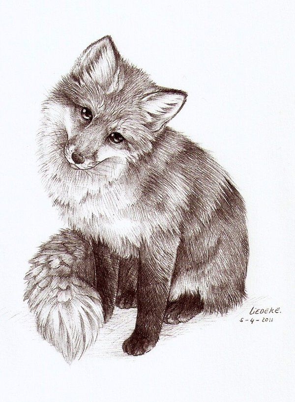 Fox Tattoo 46