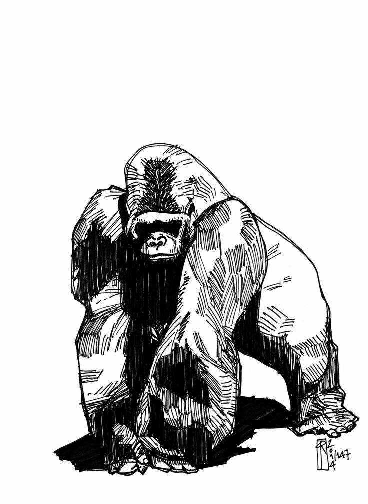 Gorilla Tattoos 131