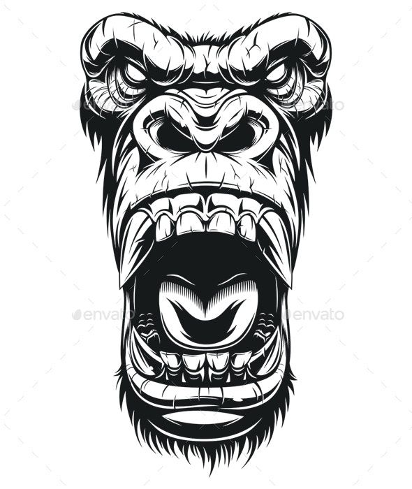 Gorilla Tattoos 157