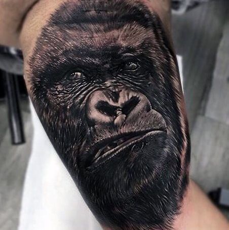 Gorilla Tattoos 99