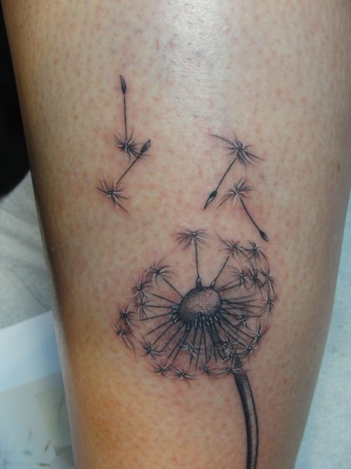 Dandelion Tattoo 116