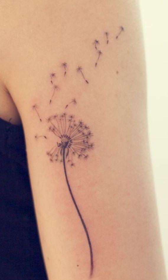 Dandelion Tattoo 160