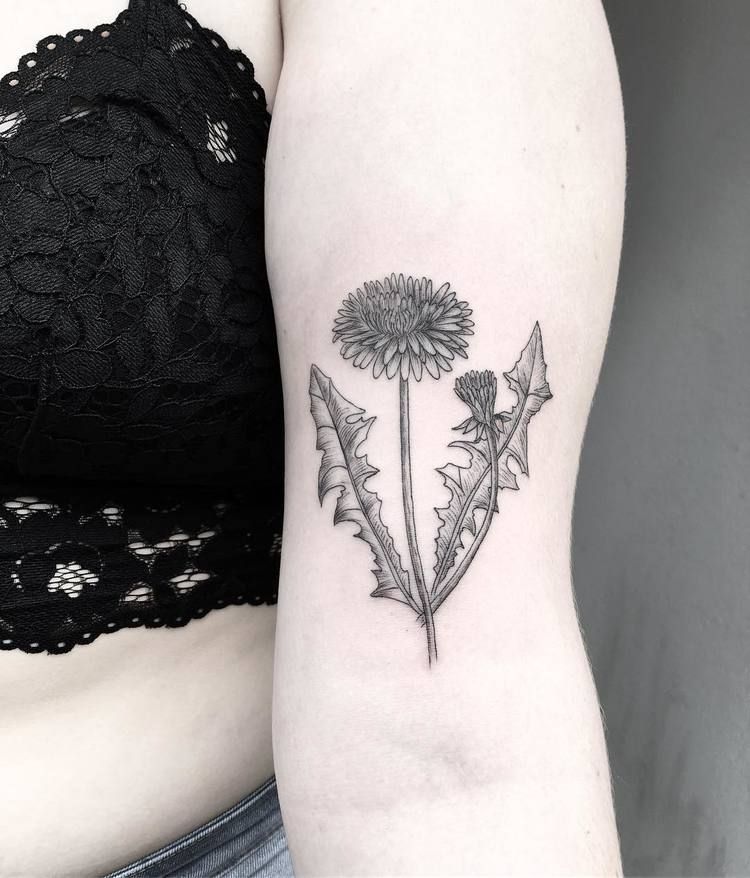 Dandelion Tattoo 165