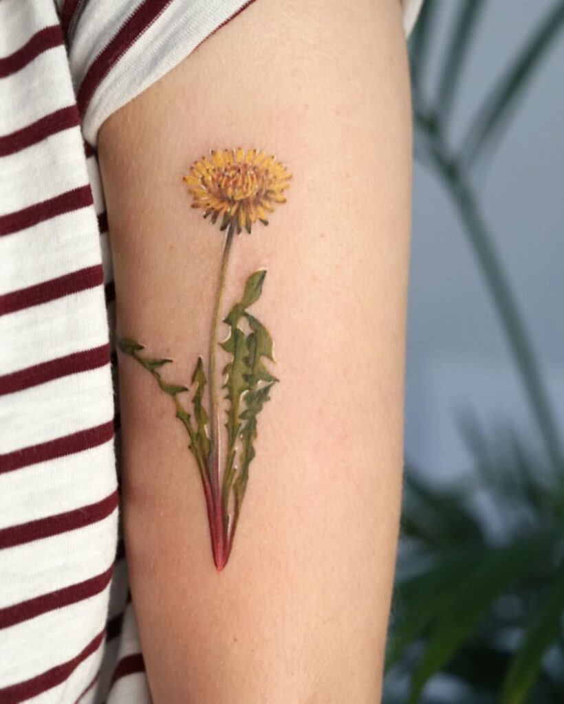Dandelion Tattoo 56