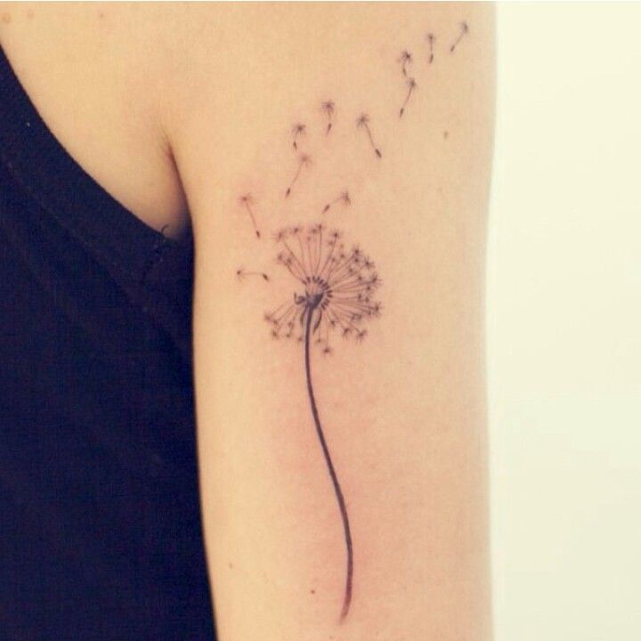 Dandelion Tattoo 72