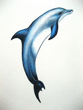 Tatuajes de delfines 105