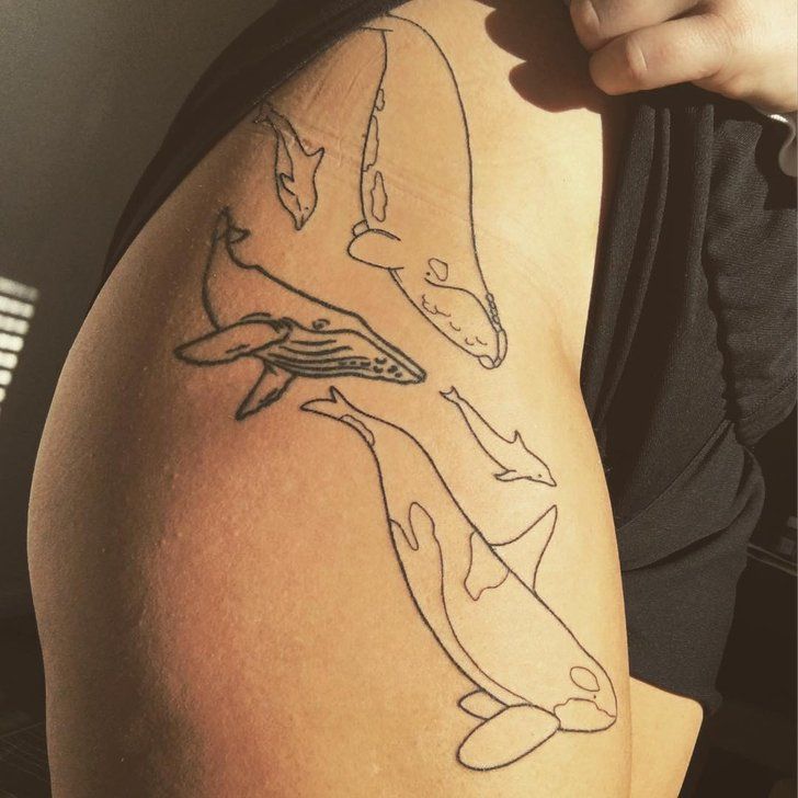 Tatuajes de delfines 116