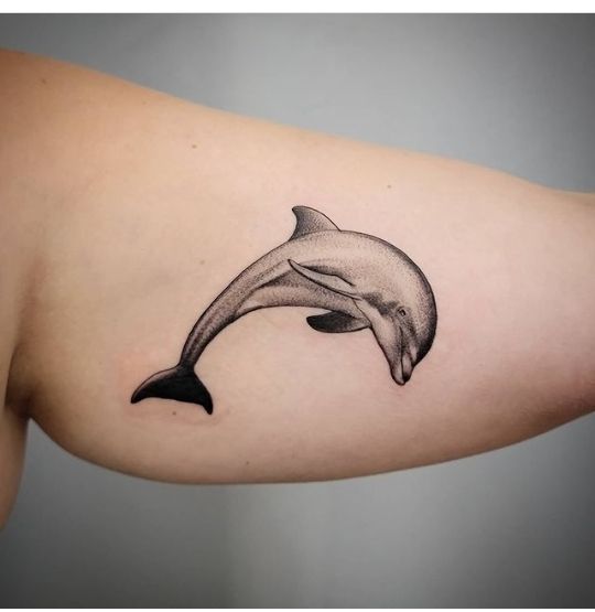 Tatuajes de delfines 117