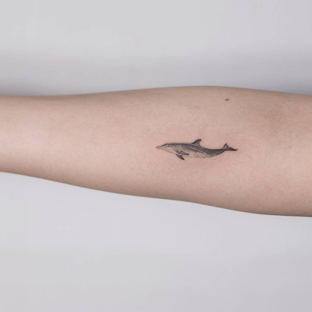 Tatuajes de delfines 25