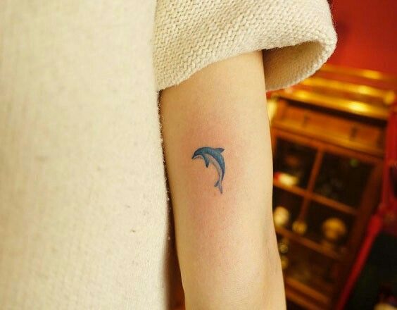 Dolphin Tattoos 53