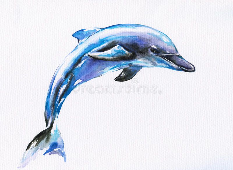 Dolphin Tattoos 59