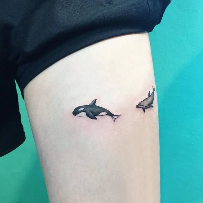 Tatuajes de delfines 85