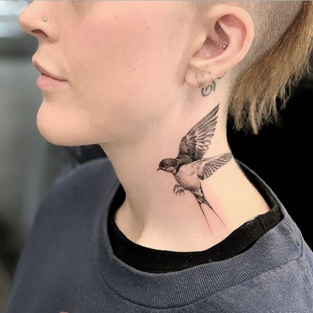 Swallow Tattoos 101