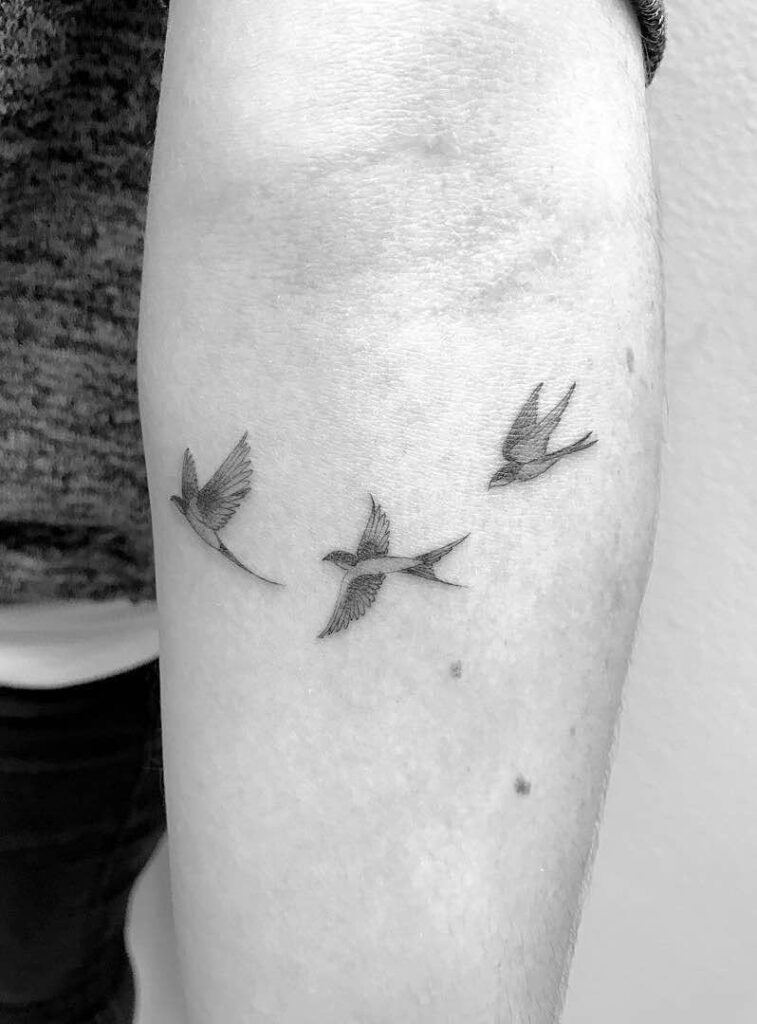 Swallow Tattoos 103