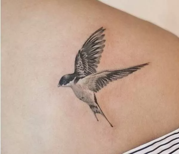 Swallow Tattoos 12