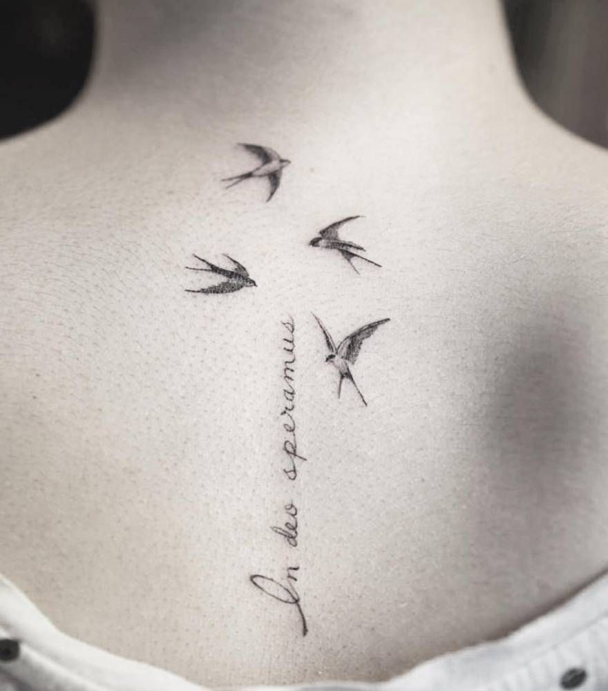 Swallow Tattoos 123