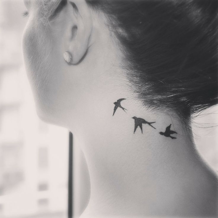 Swallow Tattoos 159