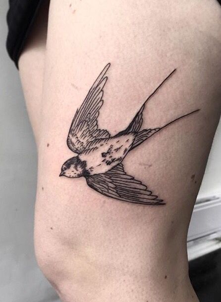 Swallow Tattoos 164