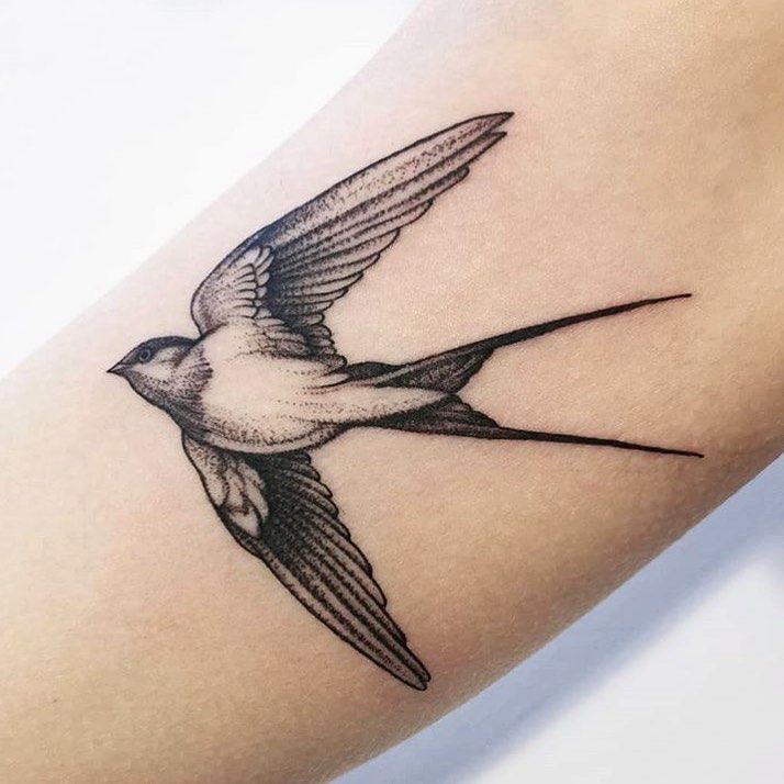 Swallow Tattoos 170