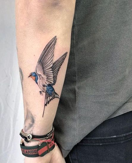 Swallow Tattoos 186