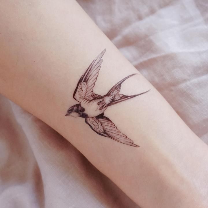 Swallow Tattoos 24