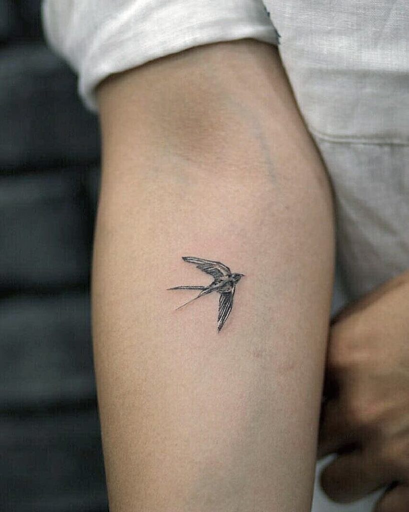 Swallow Tattoos 26