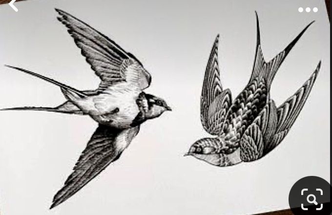 Swallow Tattoos 42