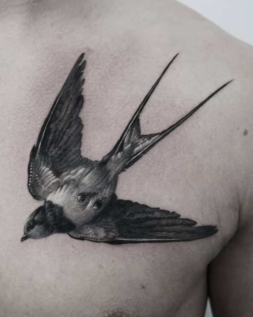 Swallow Tattoos 48