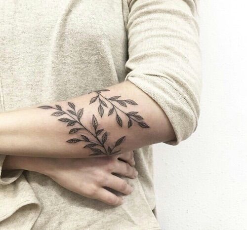 240+ Vine Tattoos For Guys and Females (2023)