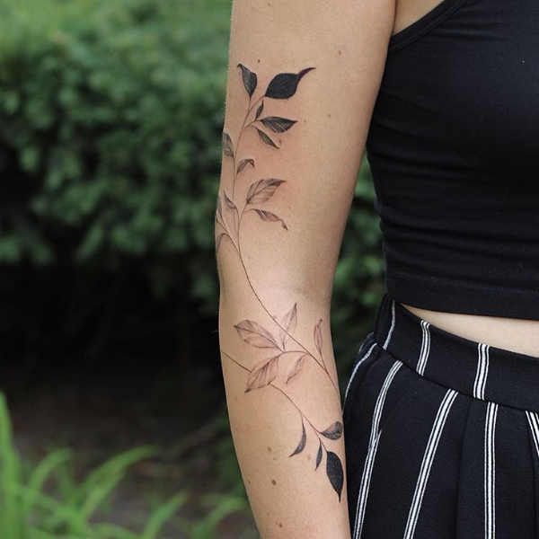 240+ Vine Tattoos For Guys and Females (2023)