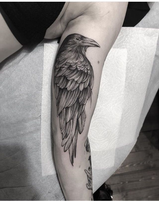 Crow Tattoos 112