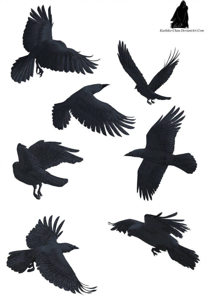Crow Tattoos 115