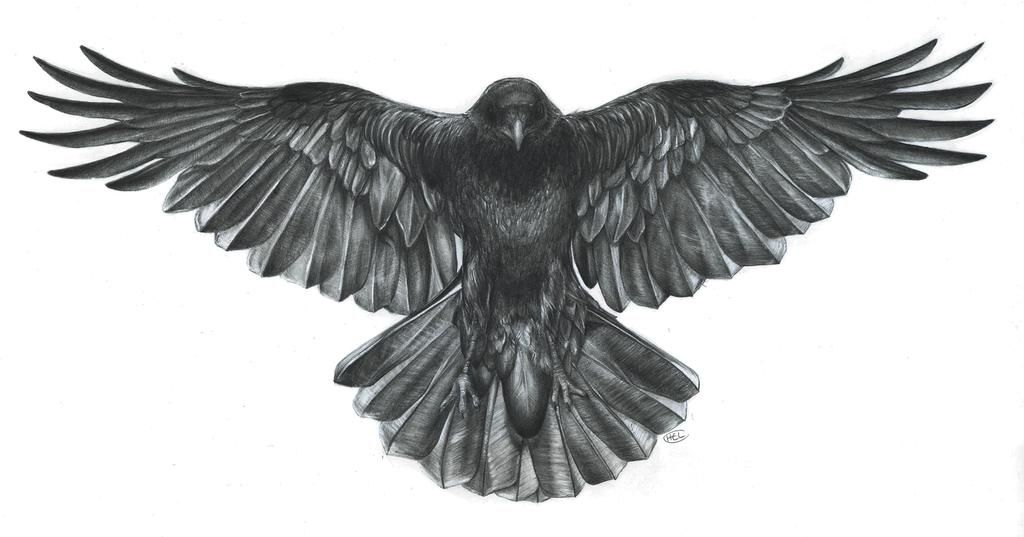 Crow Tattoos 130
