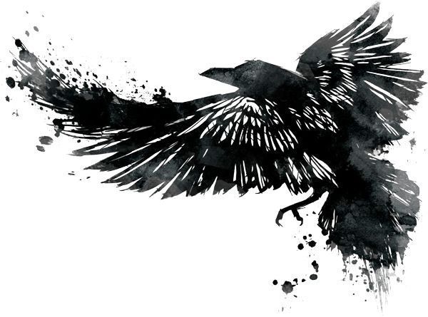 Crow Tattoos 137