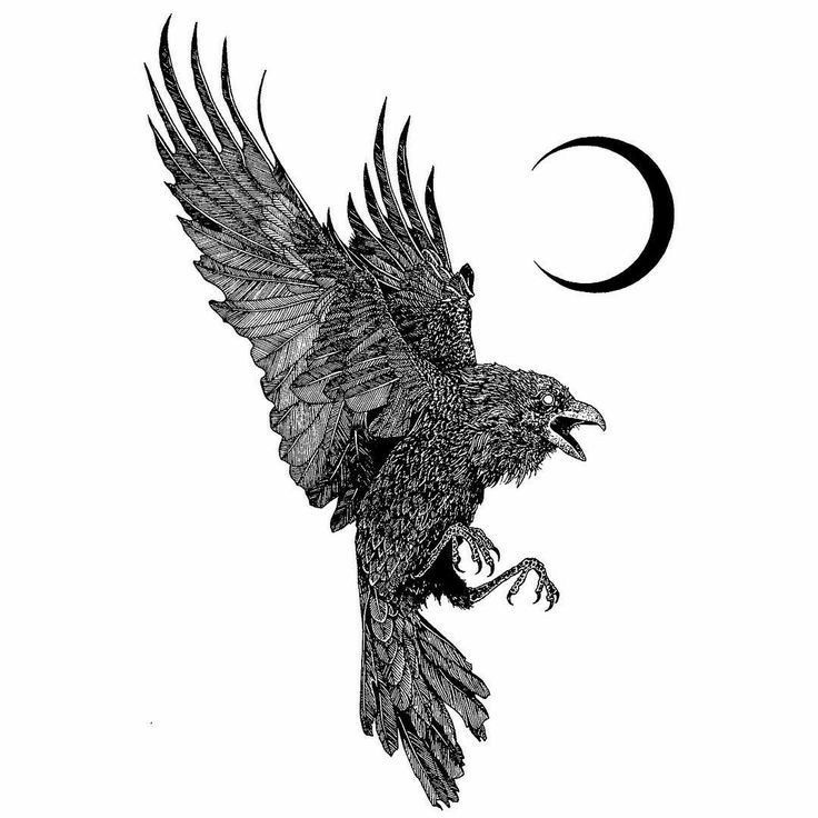 Crow Tattoos 144