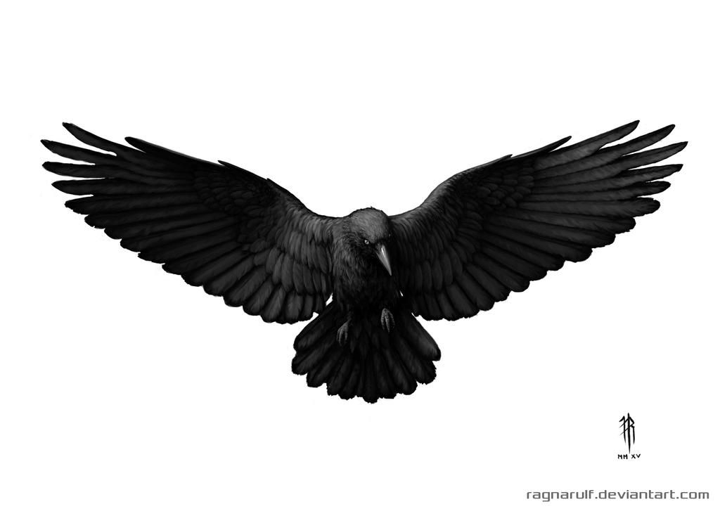 Crow Tattoos 172
