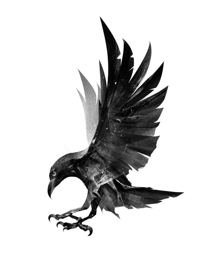 Crow Tattoos 175