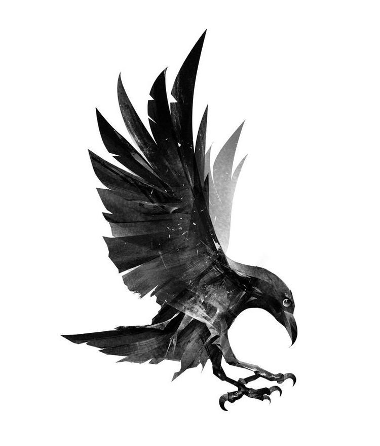 Crow Tattoos 26